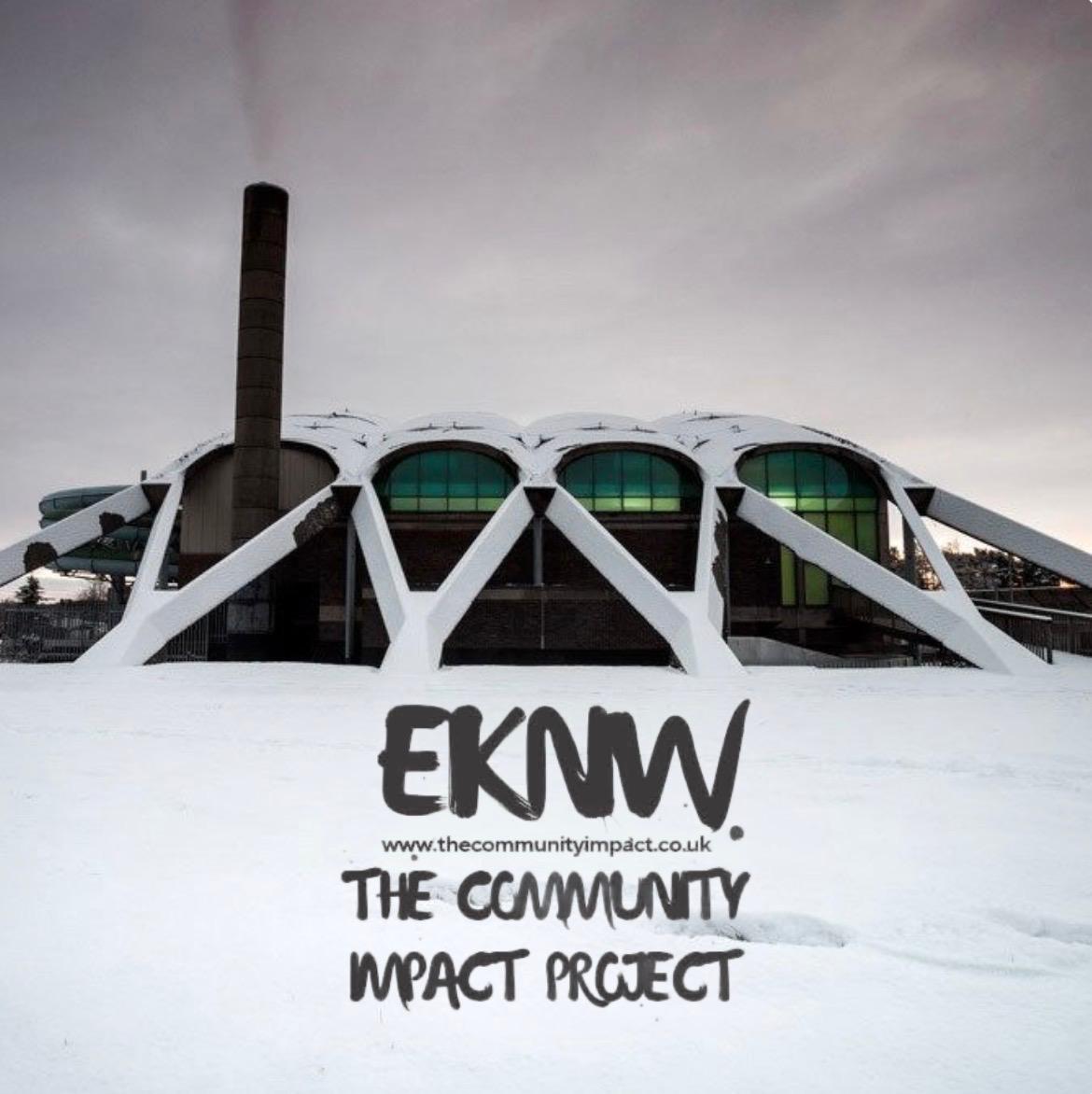 THE COMMUNITY IMPACT