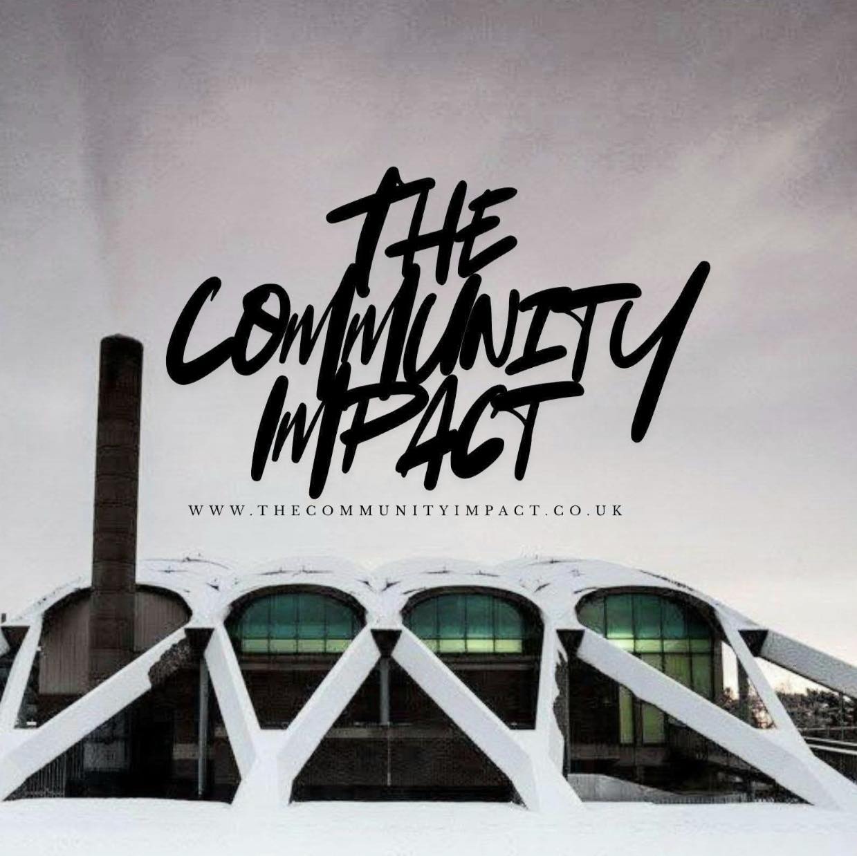 THE COMMUNITY IMPACT